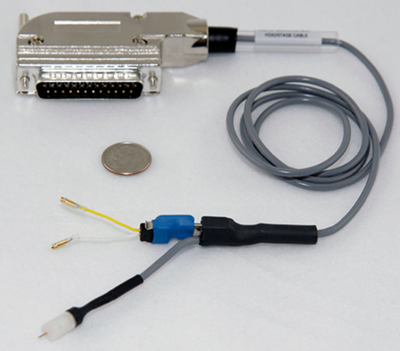 Pine-神经电化学